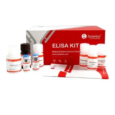 인간 인터루킨-6 IL-6 ELISA 키트 (2)