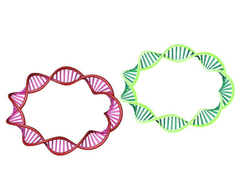 Plasimd DNA Extraction