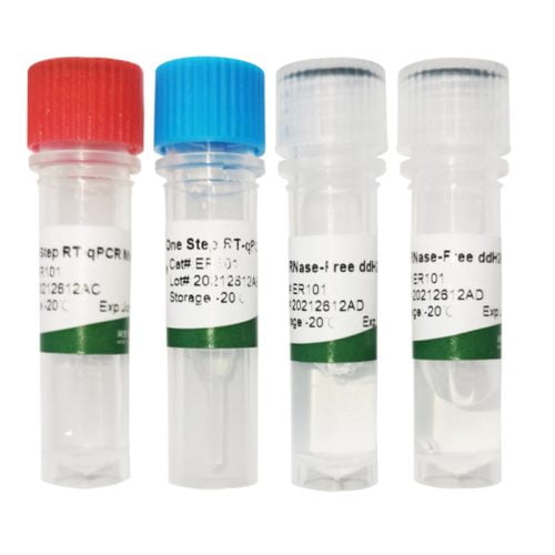 One Step RT-qPCR Kit (Probe)