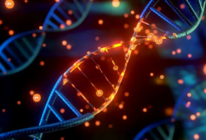 cfDNA extraction