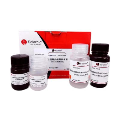 Hepatitis B Virus Stain Kit