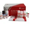 Human sE-selectinCD62E Elisa Kit (2)