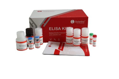 Human sE-selectinCD62E Elisa Kit (2)