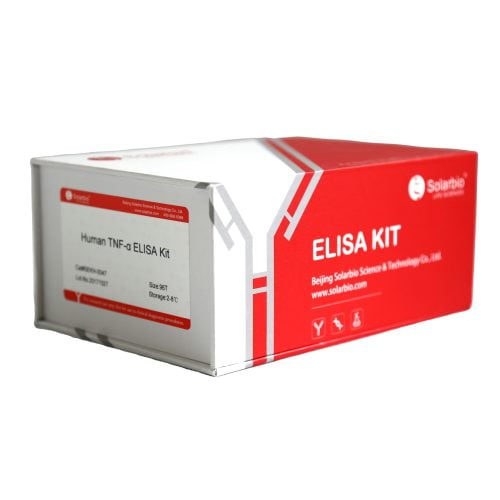 Mouse CK-MB1 Elisa Kit