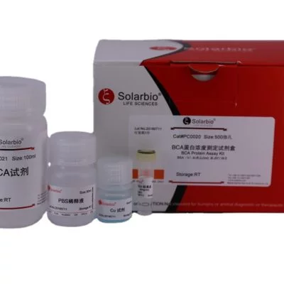 Solarbio BCA 단백질 분석 키트