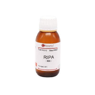 บัฟเฟอร์ Solarbio RIPA (ประสิทธิภาพสูง)