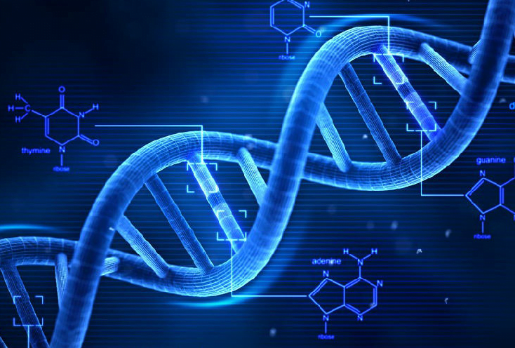 현장 PCR (2)