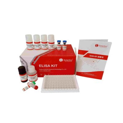 Human IL-1β(Alta sensibilidad) Elisa Kit