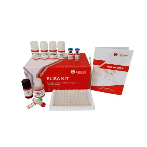 Human IL-1β(High Sensitivity) Elisa Kit